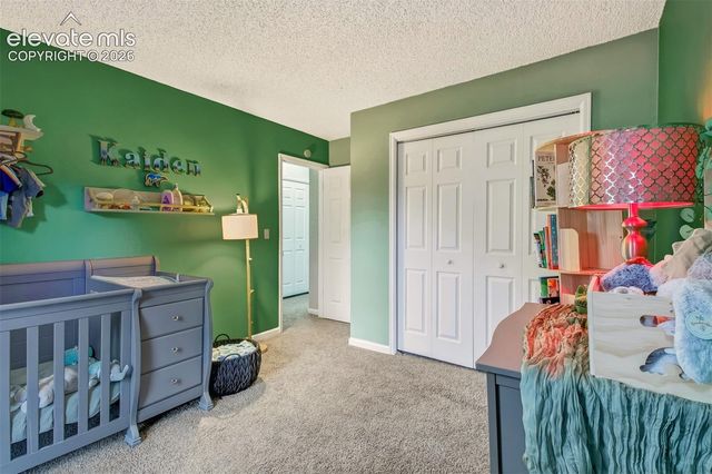 367 Raspberry Lane, Monument, CO 80132
