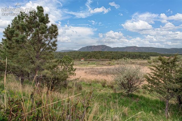 367 Raspberry Lane, Monument, CO 80132