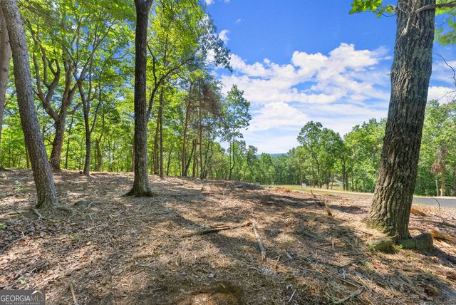 210 Chimney Oaks Trail, Cleveland, GA 30528