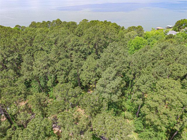 TBD Cedar Ln, Livingston, TX 77351