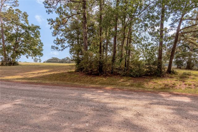 Lot 2C Charleston Street, Trinity, TX 75862
