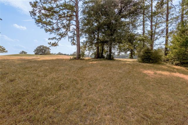 Lot 2C Charleston Street, Trinity, TX 75862