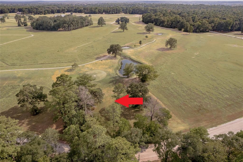 Lot 2C Charleston Street, Trinity, TX 75862