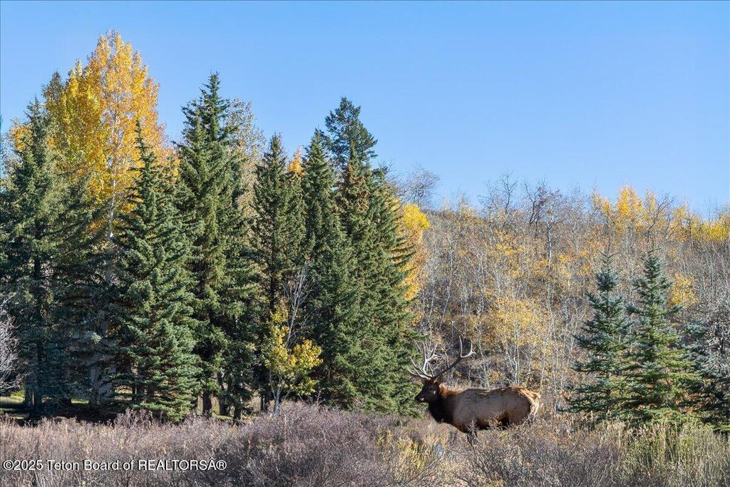 725 N BAR Y Road, Jackson, WY 83001 photo 42