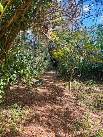 6131 Gun Club Road, West Palm Beach, FL 33415