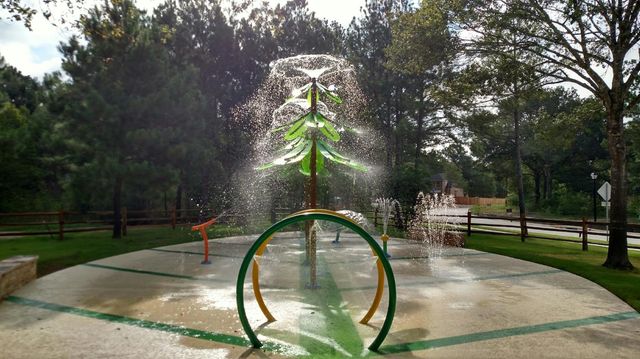 16411 Shumard Run Lane, Cypress, TX 77433