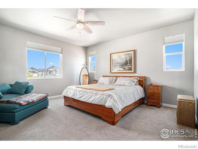 1834 Holloway Drive, Windsor, CO 80550