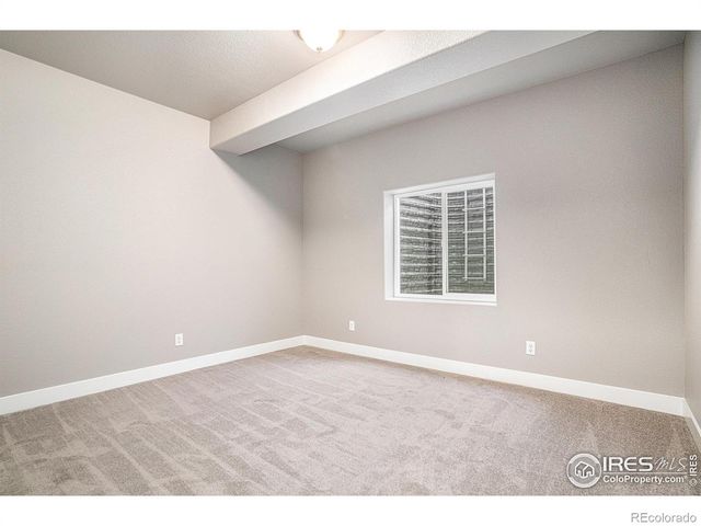 1834 Holloway Drive, Windsor, CO 80550