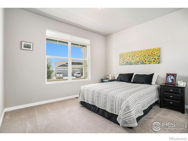 1834 Holloway Drive, Windsor, CO 80550