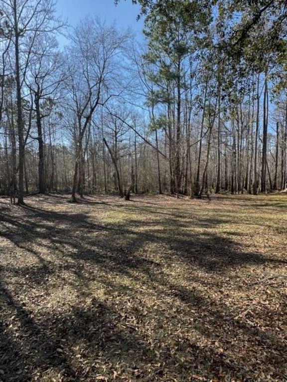 5108 Pitch Landing Dr., Conway, SC 29527 — photo 4