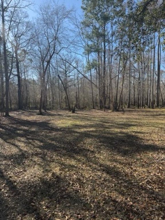 5108 Pitch Landing Dr., Conway, SC 29527 — photo 5