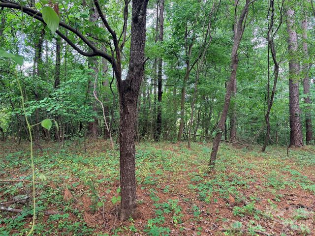 Lot 12 Sheepnose Drive, Lake Lure, NC 28746
