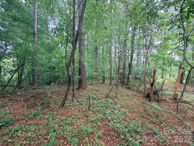 Lot 12 Sheepnose Drive, Lake Lure, NC 28746