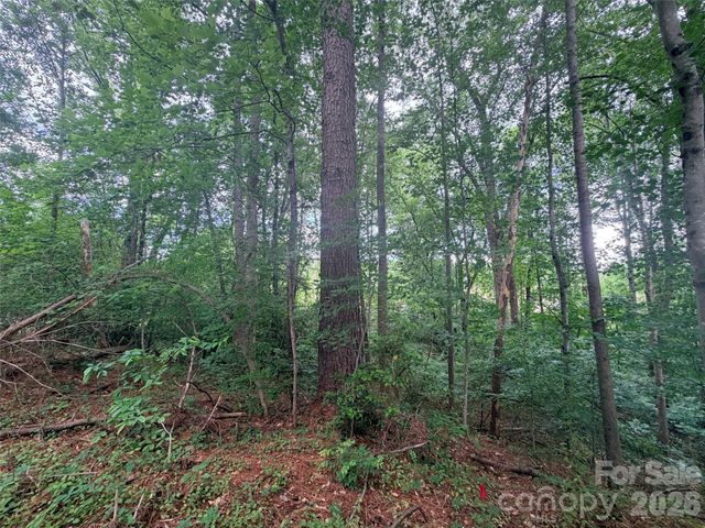 Lot 12 Sheepnose Drive, Lake Lure, NC 28746