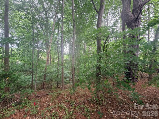 Lot 12 Sheepnose Drive, Lake Lure, NC 28746
