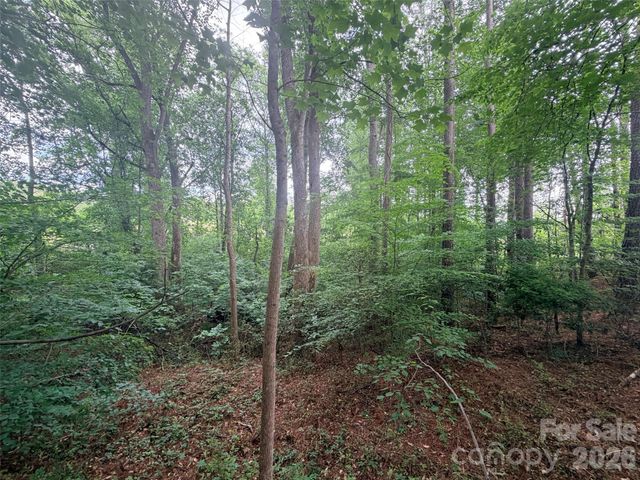 Lot 12 Sheepnose Drive, Lake Lure, NC 28746