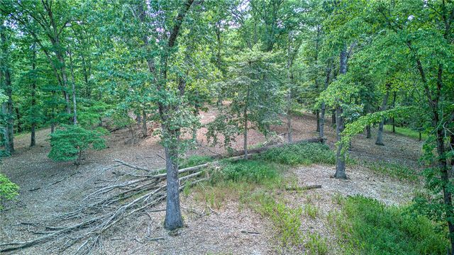 Freestone Drive, Rogers, AR 72756
