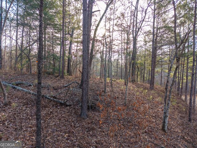 LOT 186 Harris Ridge Lane, Ellijay, GA 30540
