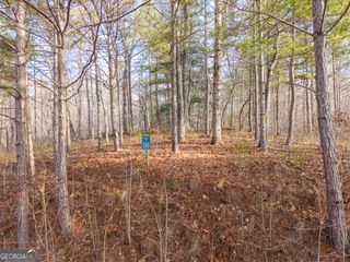LOT 186 Harris Ridge Lane, Ellijay, GA 30540