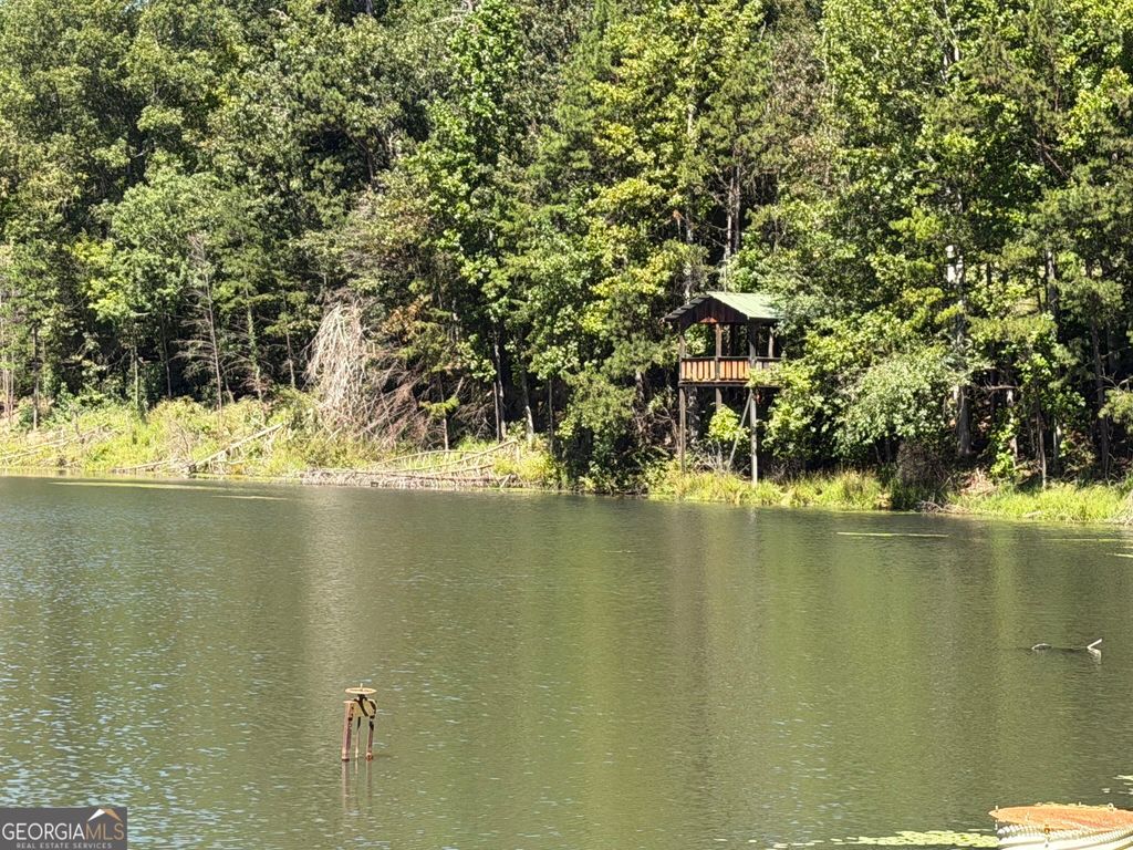 263 Cole Lake Drive, Toccoa, GA 30577 — photo 2