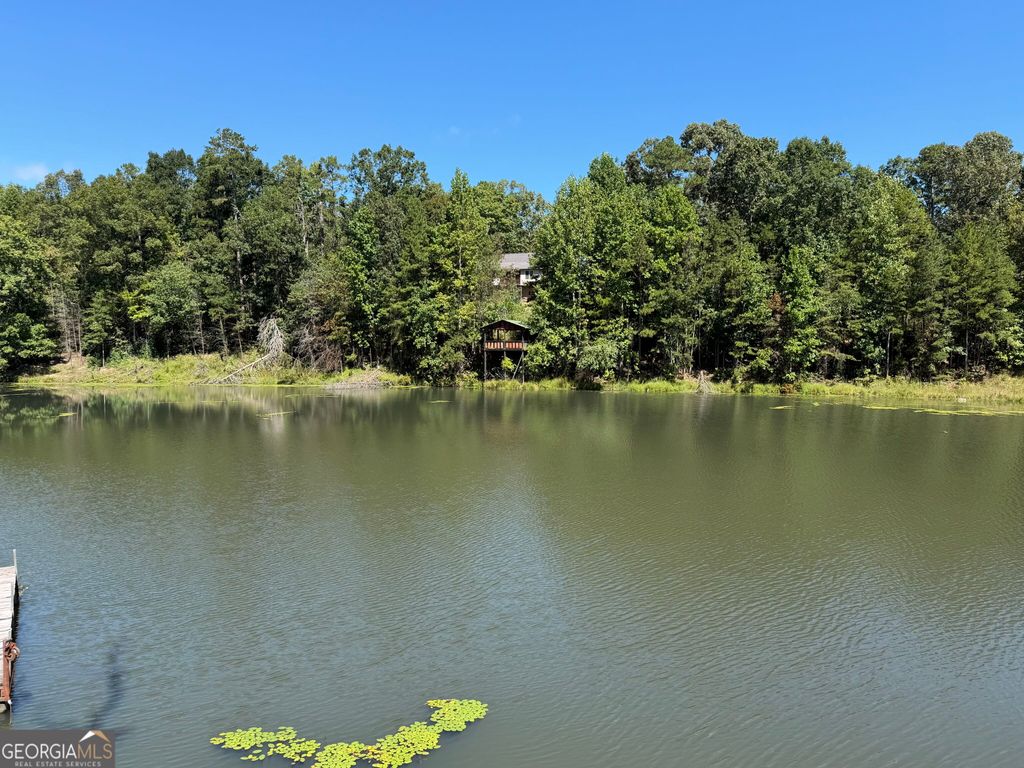 263 Cole Lake Drive, Toccoa, GA 30577 — photo 3