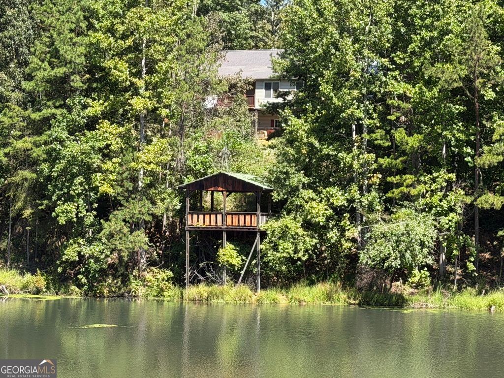 263 Cole Lake Drive, Toccoa, GA 30577 — photo 4