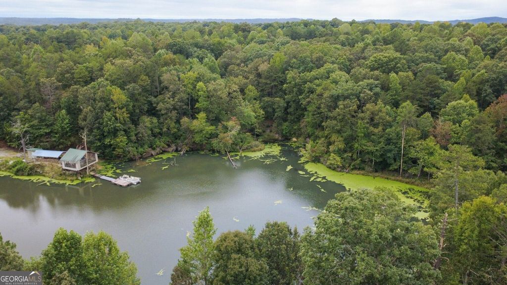 263 Cole Lake Drive, Toccoa, GA 30577 — photo 5