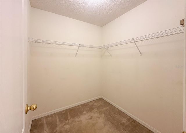 224 FAULKNER STREET, Winter Garden, FL 34787