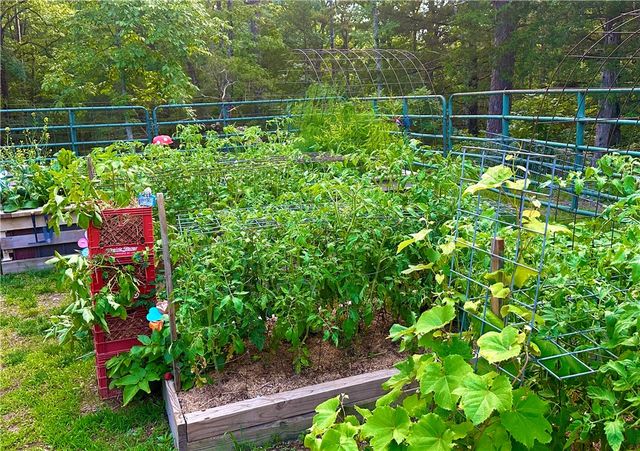 351 County Road 205, Eureka Springs, AR 72632