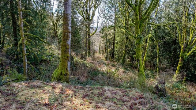 29631 124th Avenue NE, Arlington, WA 98223