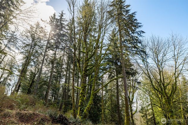 29631 124th Avenue NE, Arlington, WA 98223