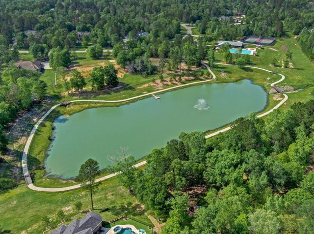 7304 Magnolia Hollow Drive, Montgomery, TX 77316