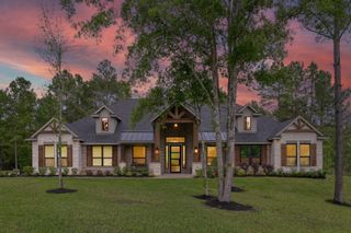 7304 Magnolia Hollow Drive, Montgomery, TX 77316