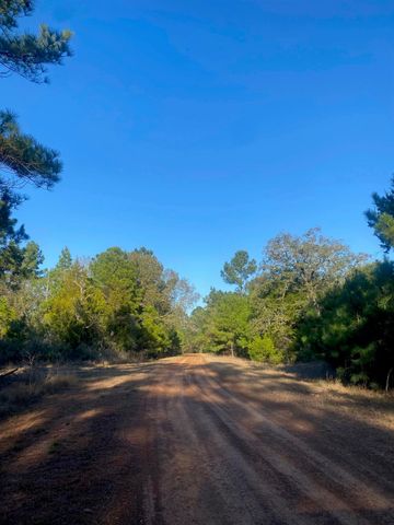 17922 Deerwood Drive, Hempstead, TX 77445