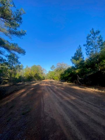 17922 Deerwood Drive, Hempstead, TX 77445