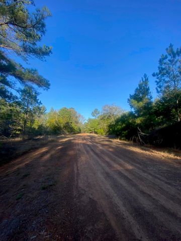 17922 Deerwood Drive, Hempstead, TX 77445