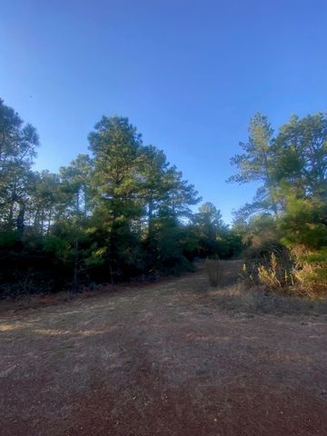 17922 Deerwood Drive, Hempstead, TX 77445