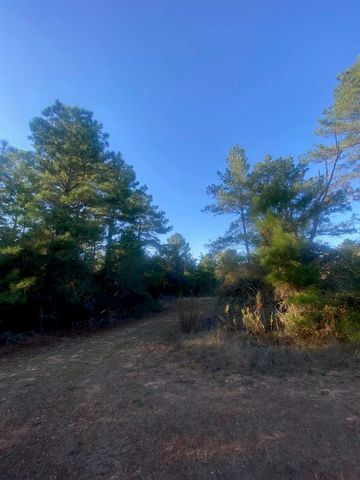 17922 Deerwood Drive, Hempstead, TX 77445