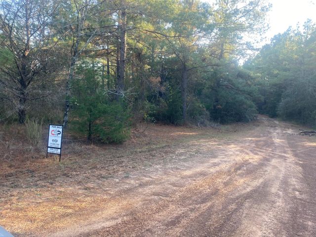 17922 Deerwood Drive, Hempstead, TX 77445