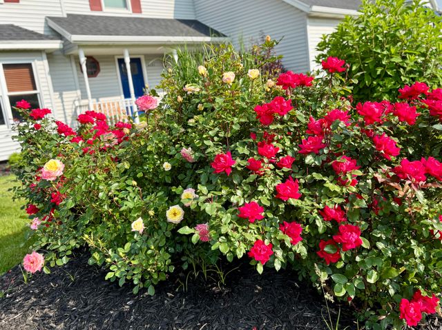 4151 Little Star Court SW, Grandville, MI 49418