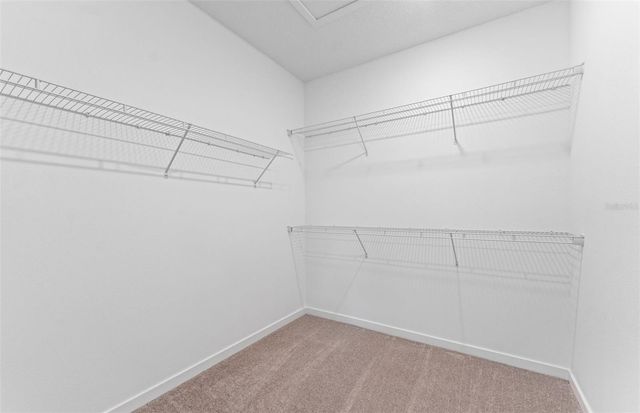 9907 AUTUMN RIDGE AVENUE, Riverview, FL 33578