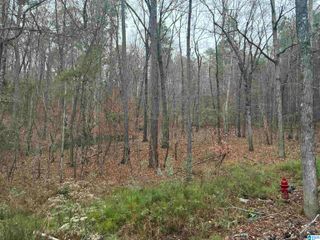 605 PINE MOUNTAIN TRAIL, Chelsea, AL 35043