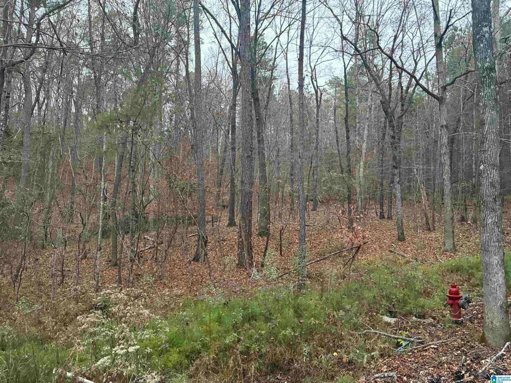 605 PINE MOUNTAIN TRAIL, Chelsea, AL 35043