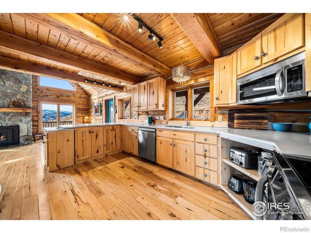 113 Purple Mountain Court, Livermore, CO 80536