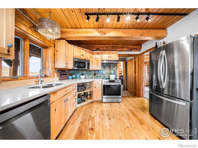 113 Purple Mountain Court, Livermore, CO 80536