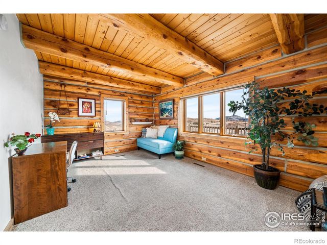 113 Purple Mountain Court, Livermore, CO 80536