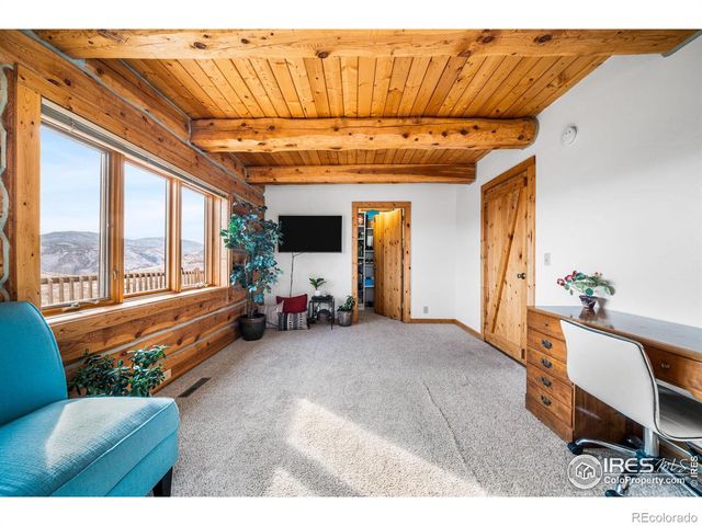 113 Purple Mountain Court, Livermore, CO 80536