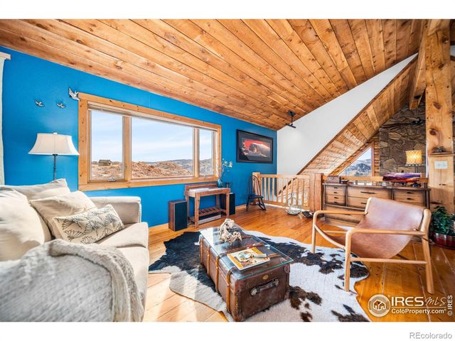 113 Purple Mountain Court, Livermore, CO 80536