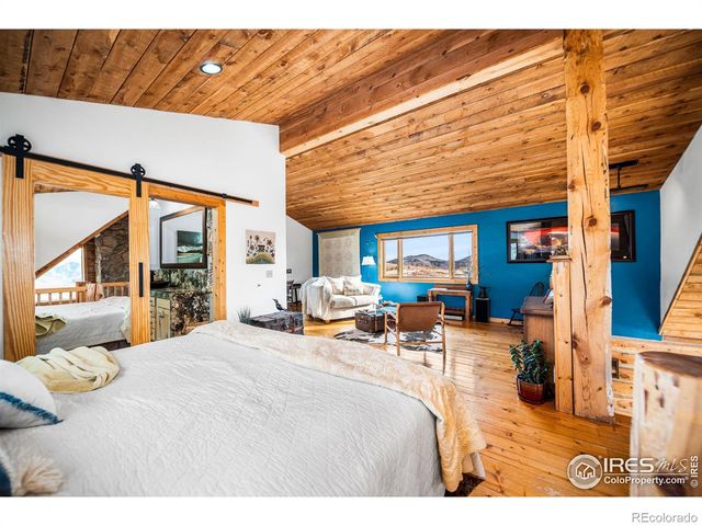 113 Purple Mountain Court, Livermore, CO 80536