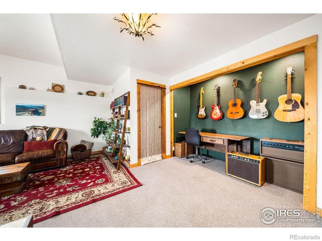 113 Purple Mountain Court, Livermore, CO 80536